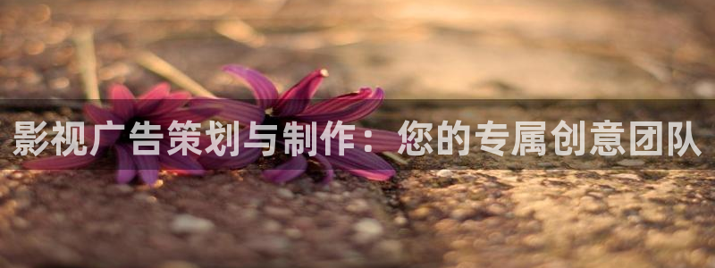 窝窝免费电影电视剧