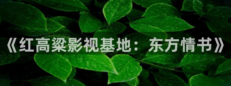 窝窝影院我不卡