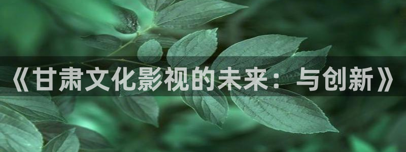 窝窝在线观看视频：《甘肃文化影视的未来：与创新》