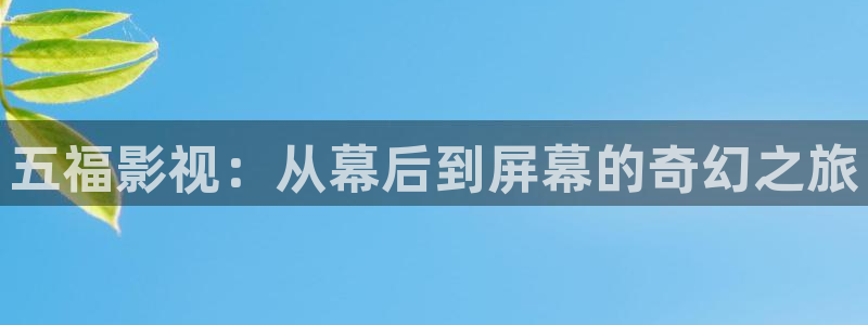 窝窝影院在线观看免费播放电视剧：五福影视：从幕后到屏幕的奇幻之旅