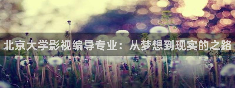 窝窝三级中文影院